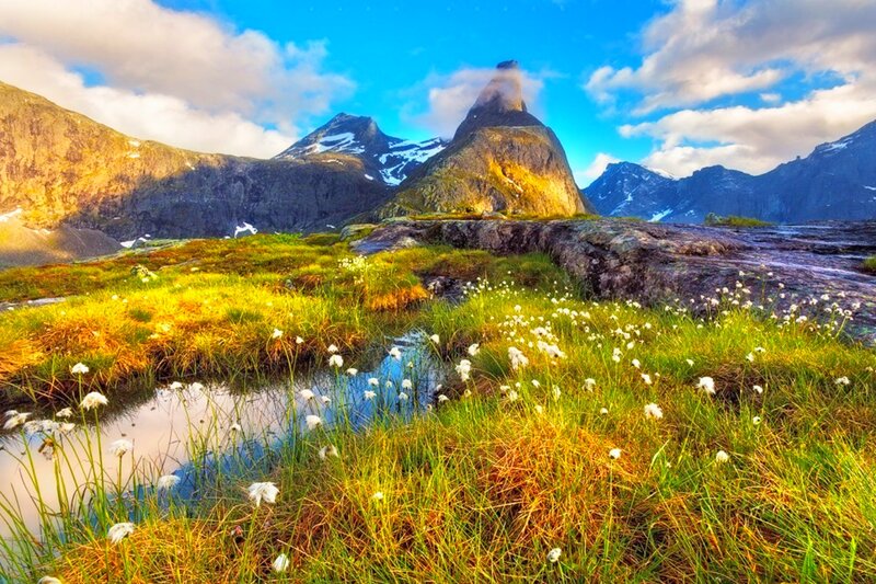 Mountain Landscape with Flowers — Green, Serene, Afternoon