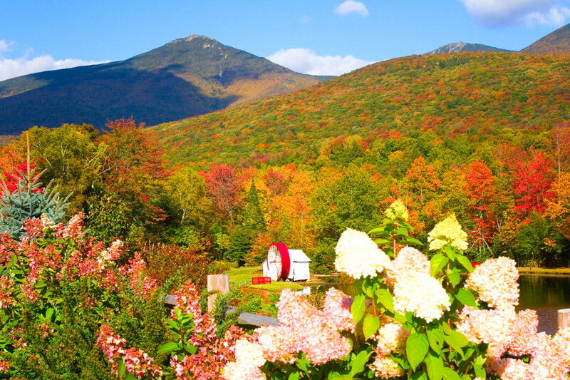 Mountain Landscape with Flowers — Green, Serene, Autumn