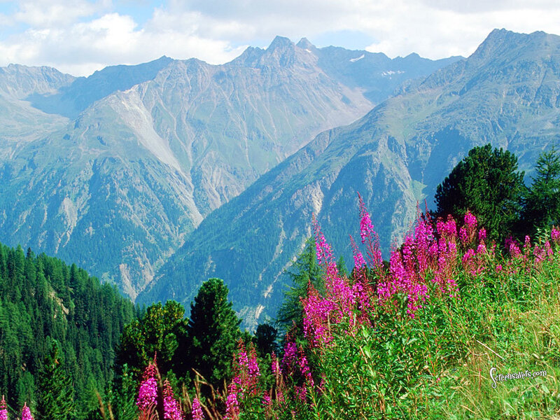 Mountain Landscape with Flowers — Green, Serene