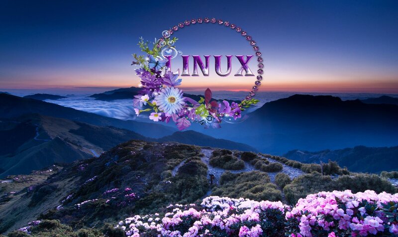 Mountain Landscape with Flowers — Purple, Serene, Sunrise