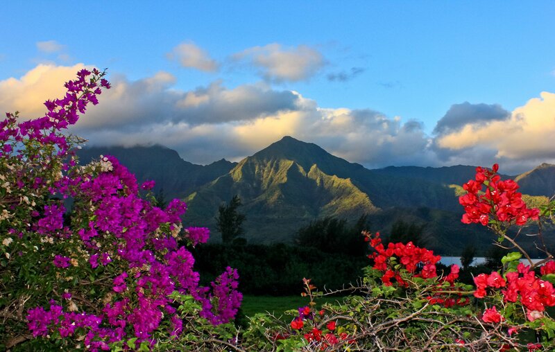 Mountain Landscape with Flowers — Purple