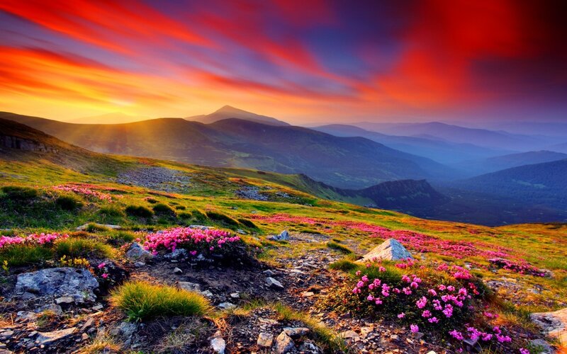 Mountain Landscape with Flowers — Red