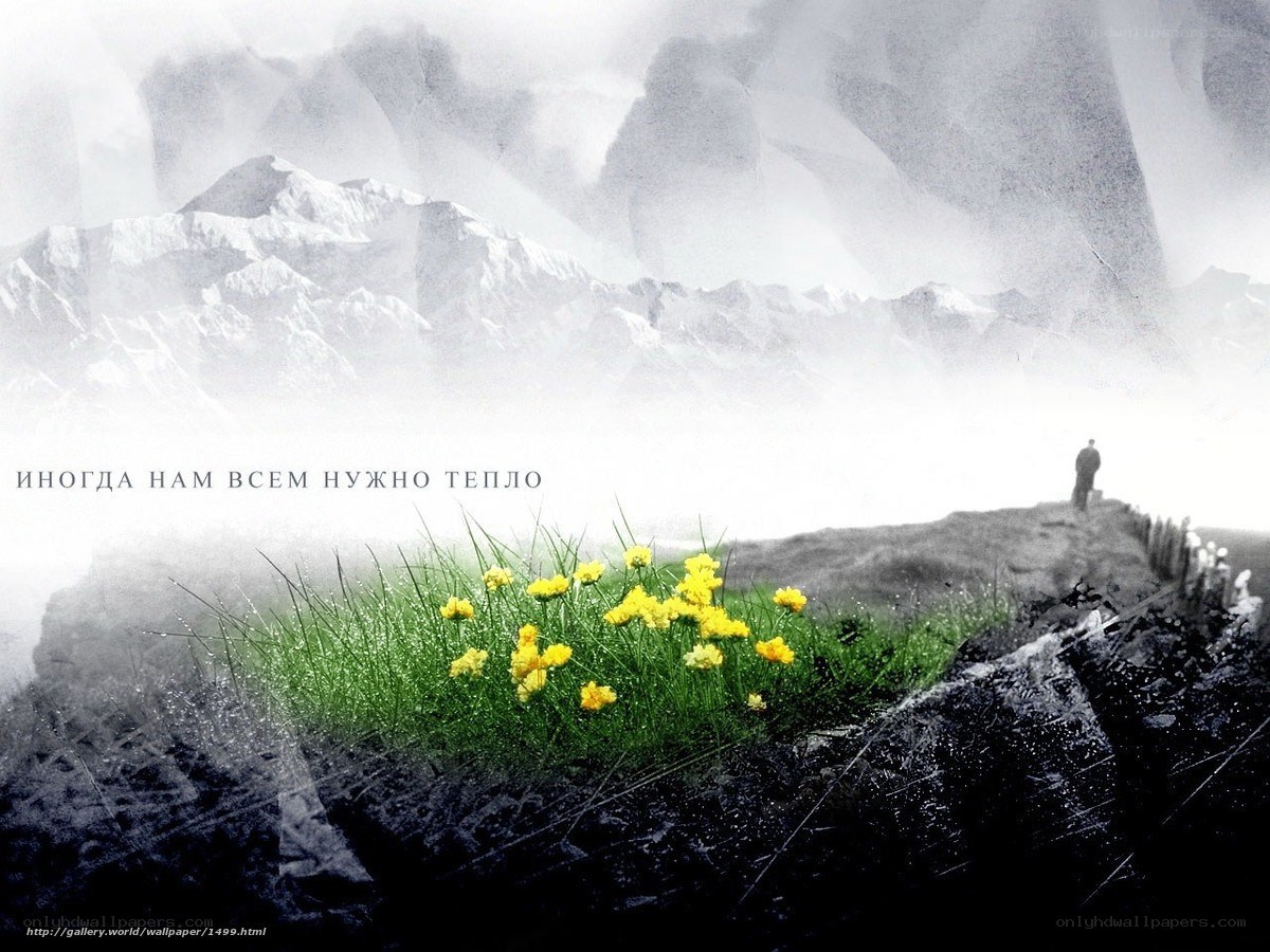 mountain landscape with flowers