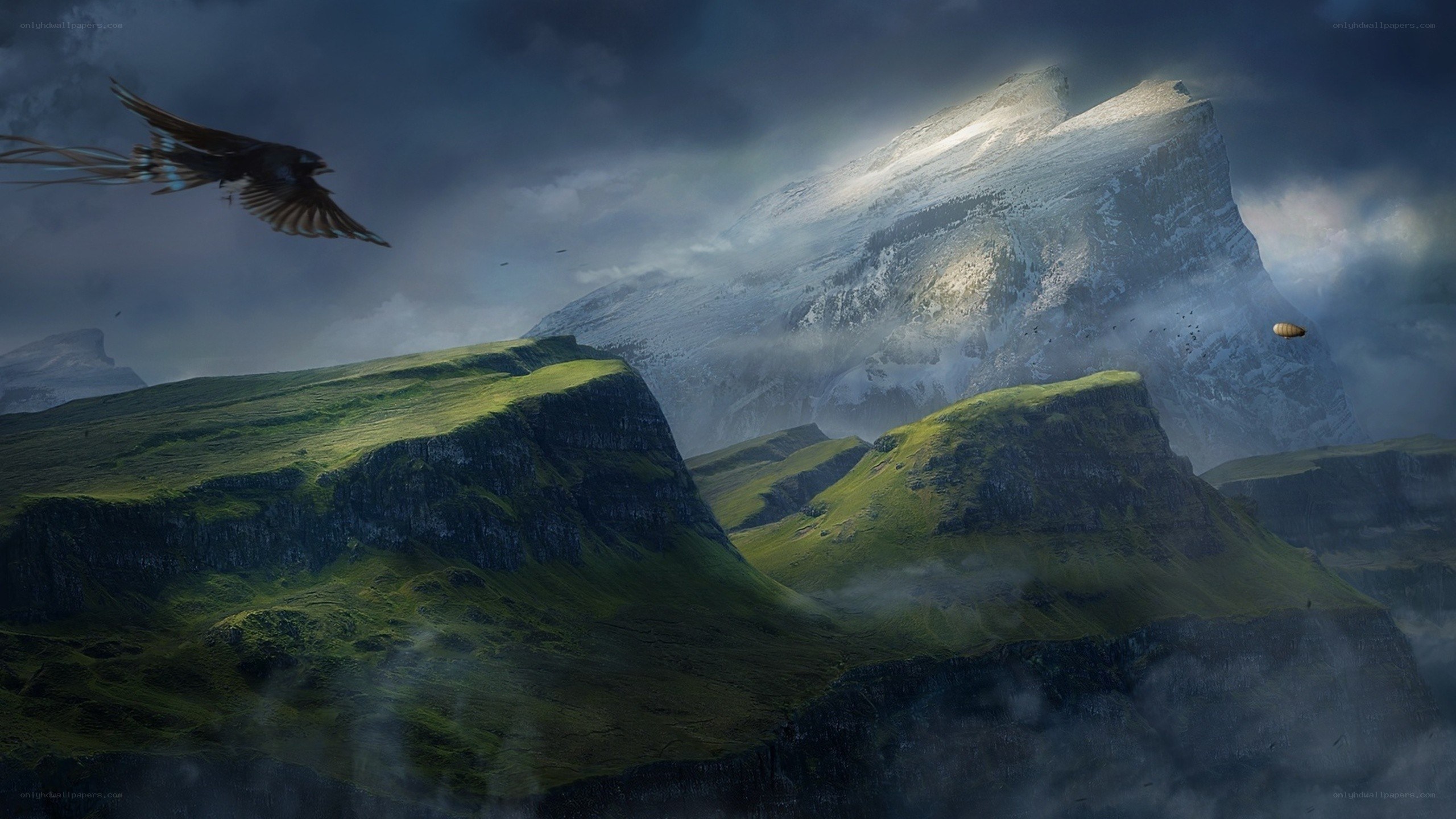 mountain landscape with flying bird
