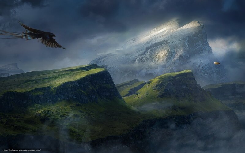 Mountain landscape with flying bird
