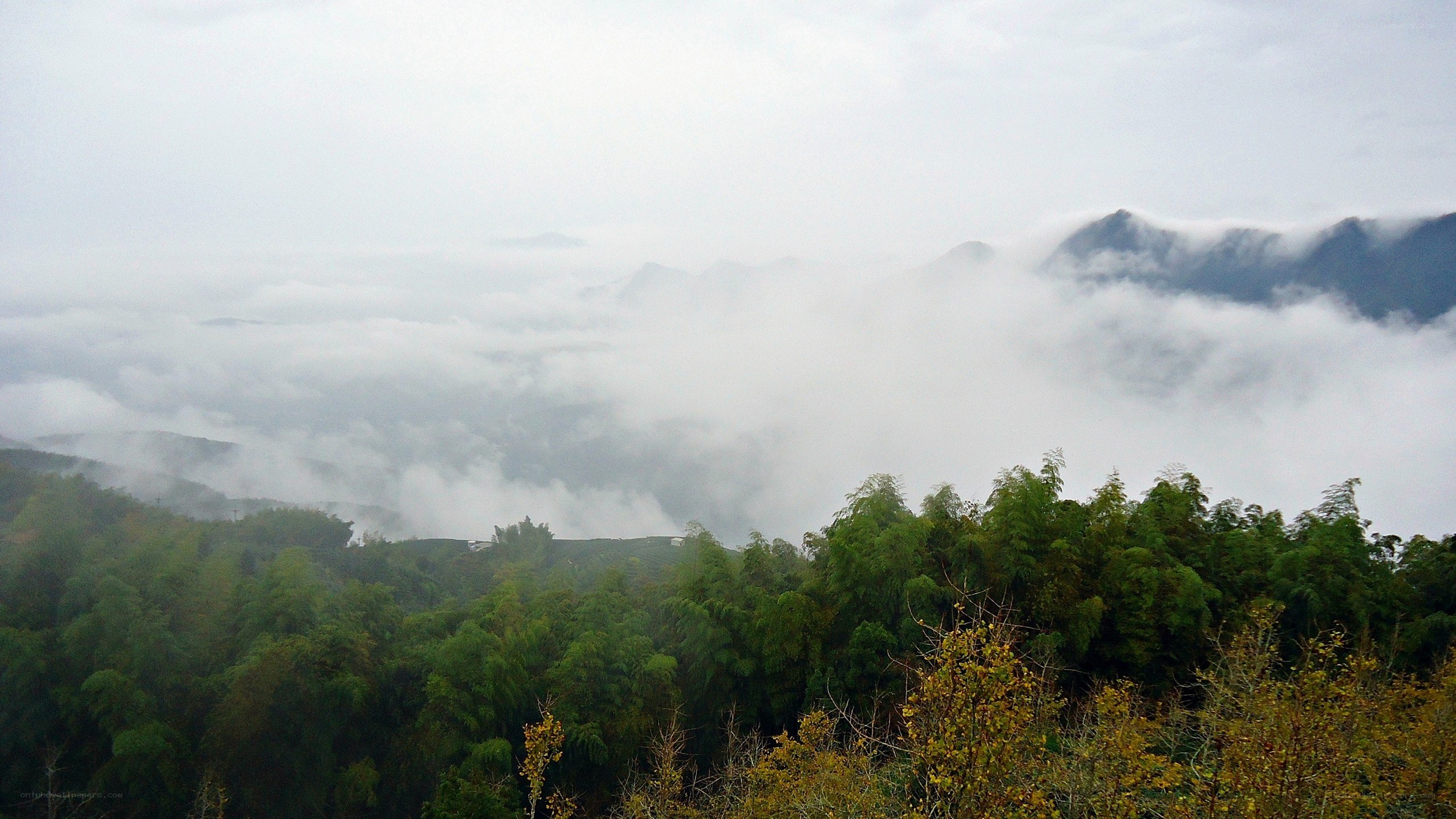 Mountain landscape with fog