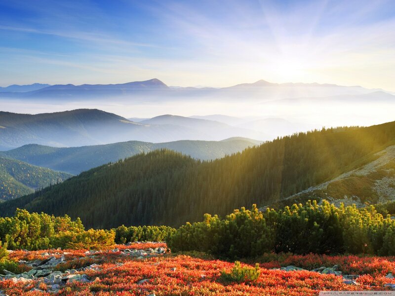 Mountain Landscape with Fog — Blue