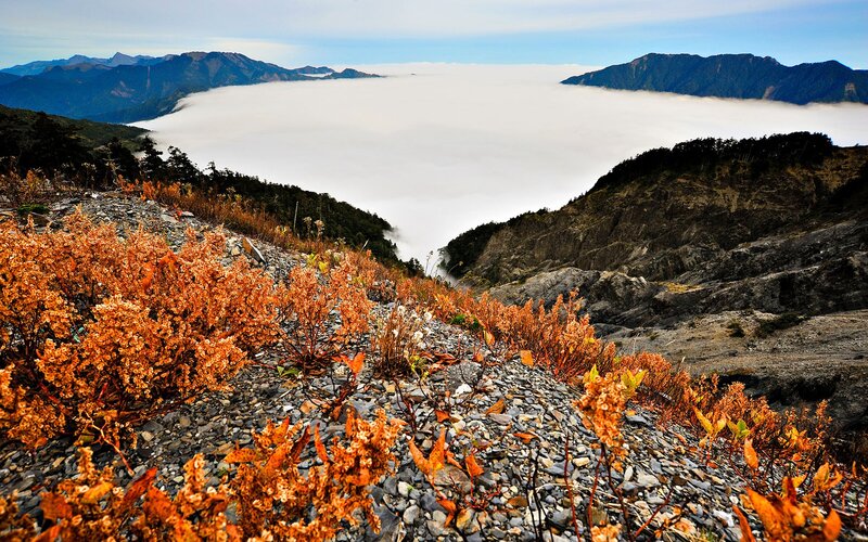 Mountain Landscape with Fog — Orange
