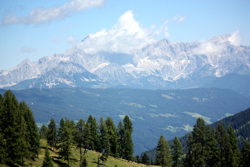 Mountain landscape with forest