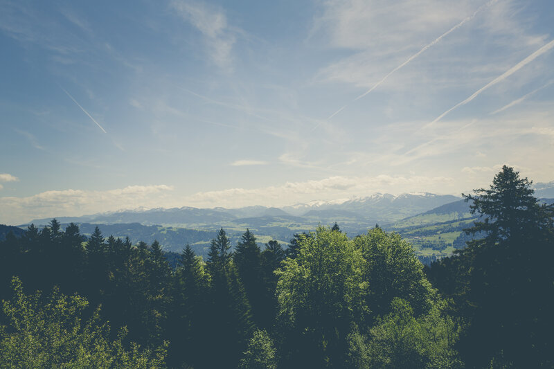 Mountain landscape with forest