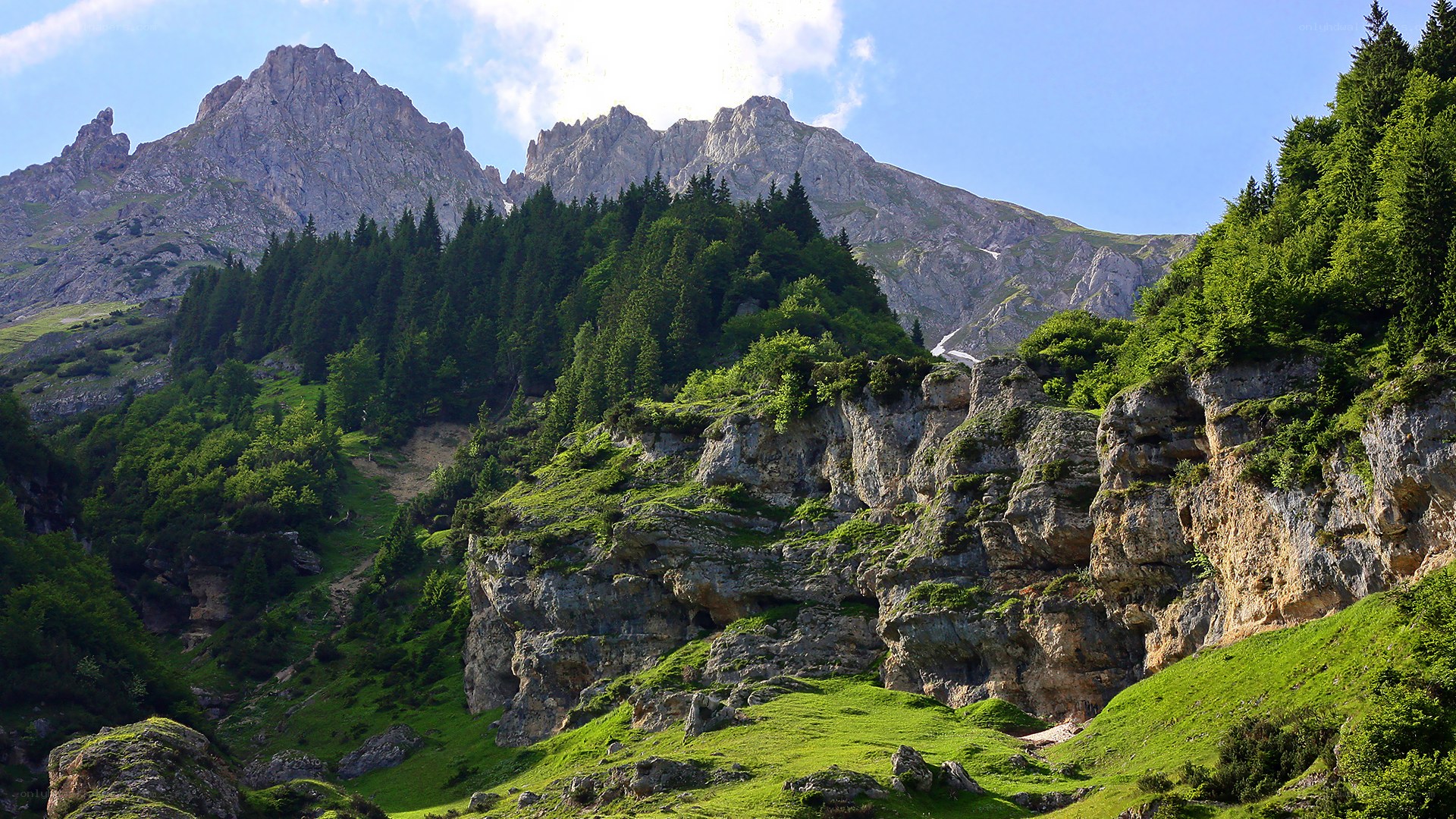 Mountain landscape with forest