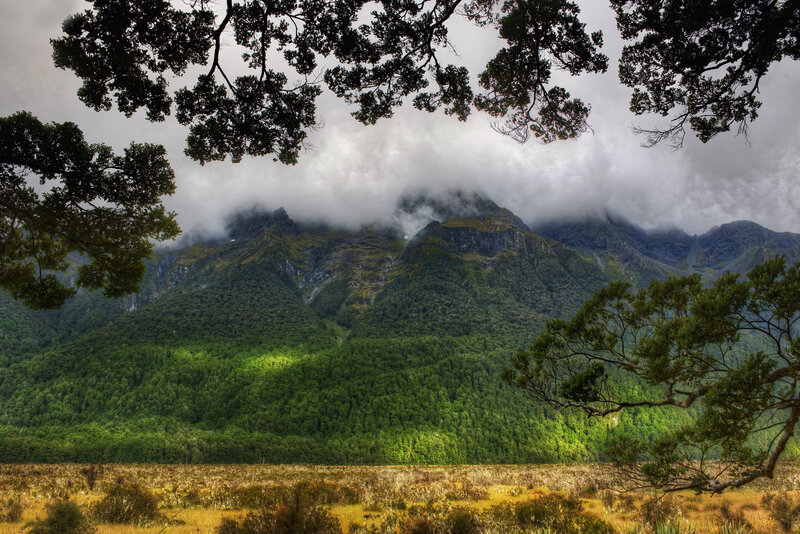 Mountain landscape with forest
