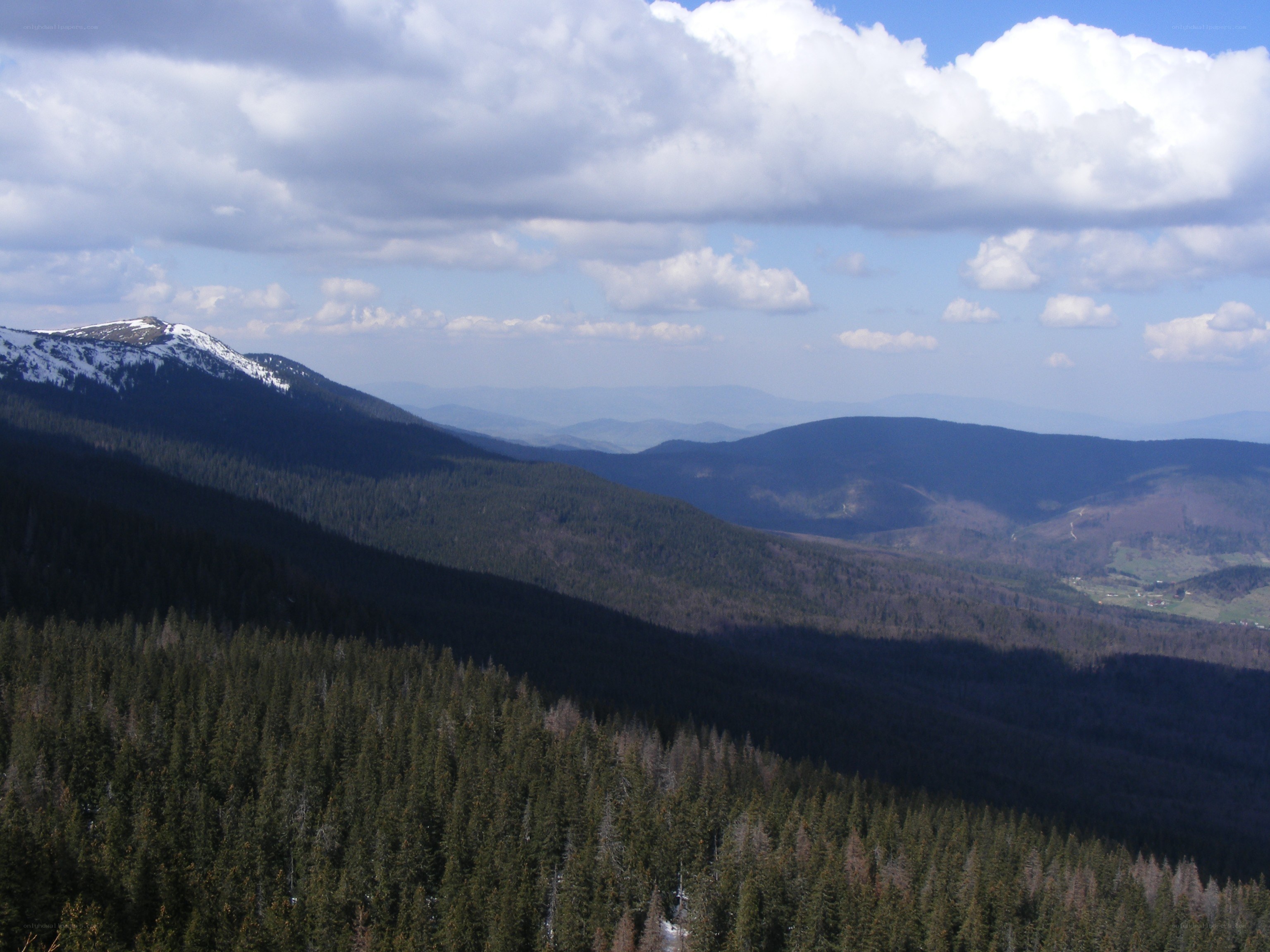 Mountain landscape with forest