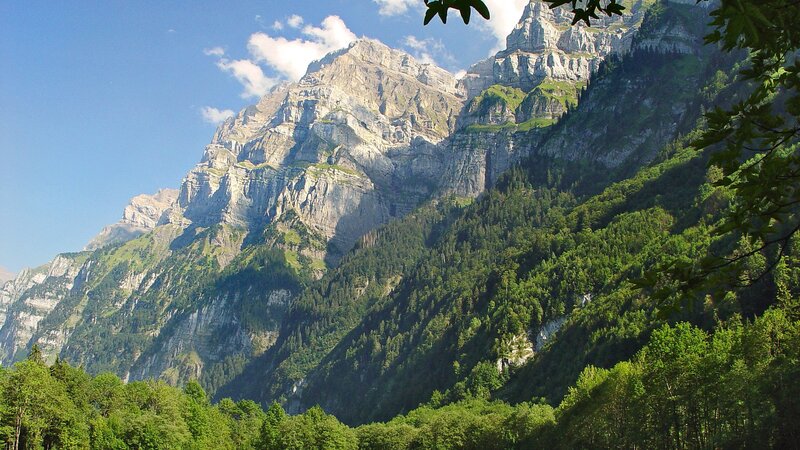 mountain landscape with forest