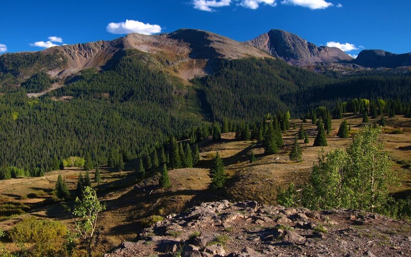 Mountain landscape with forest