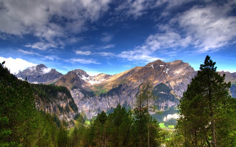 Mountain landscape with forest