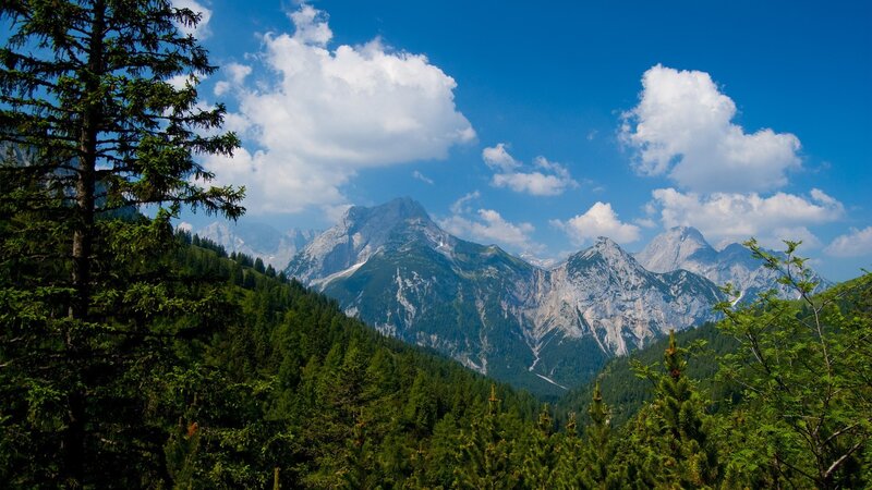 Mountain landscape with forest