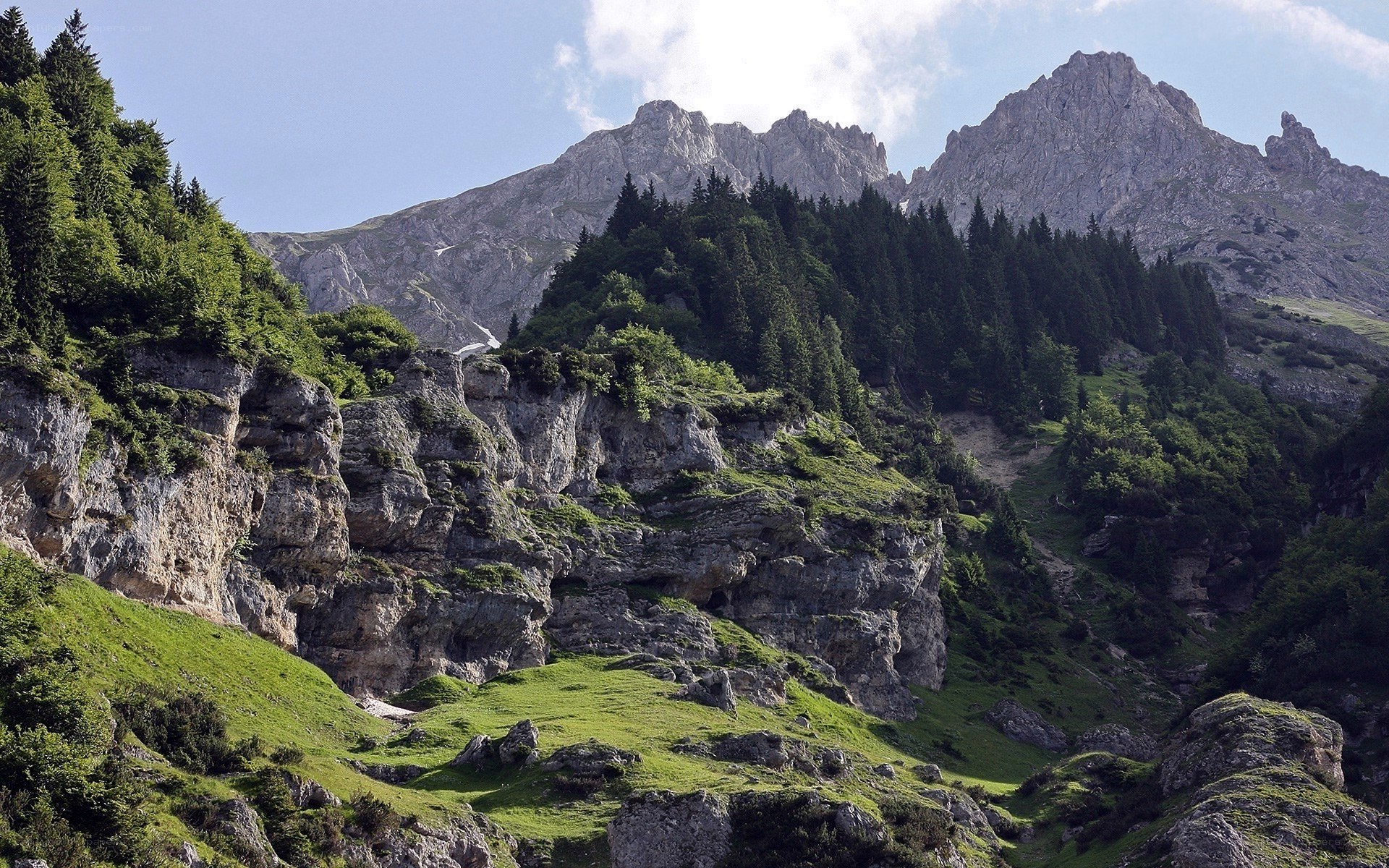 Mountain landscape with forest