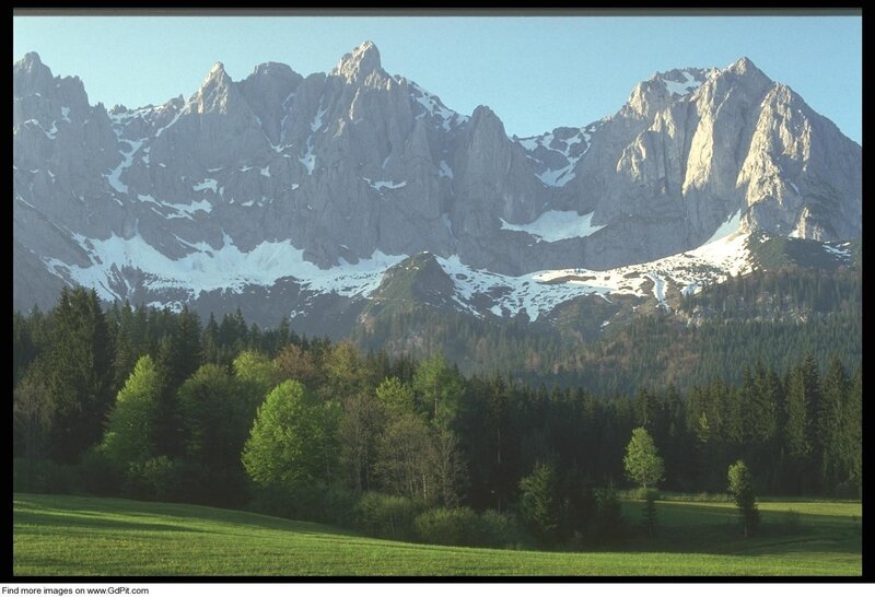 Mountain landscape with forest