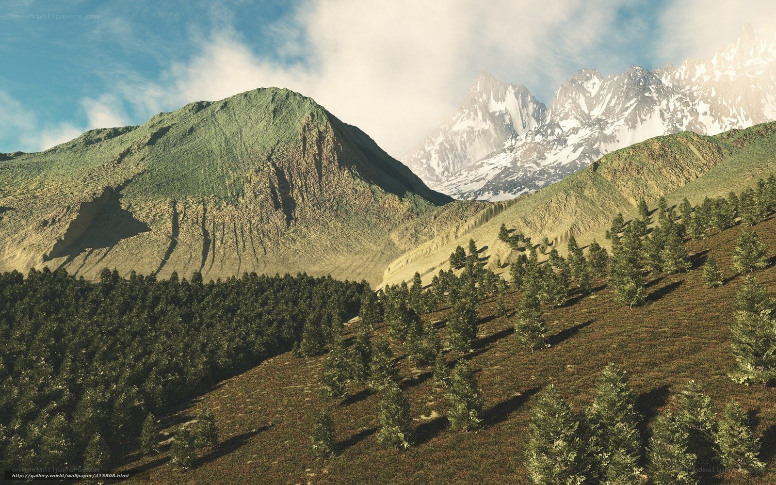 Mountain landscape with forest
