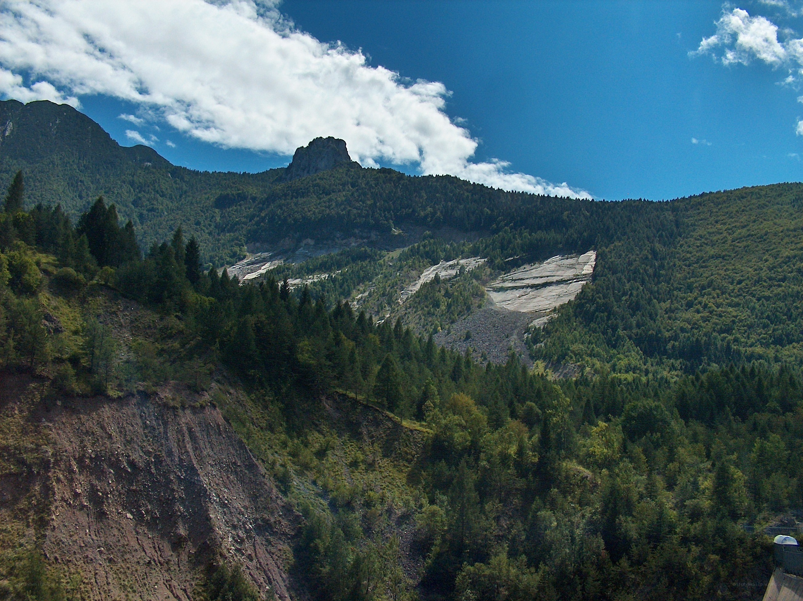 Mountain landscape with forest and rock formations