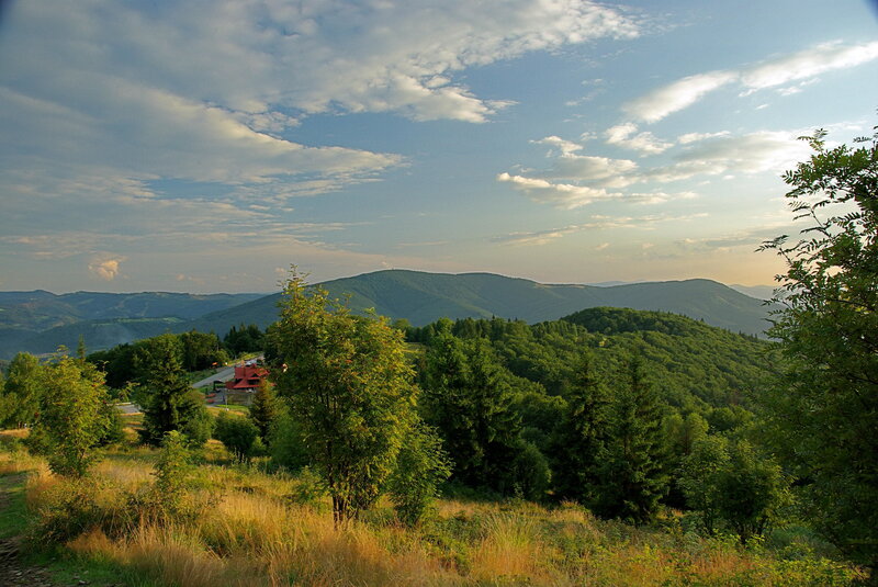 Mountain landscape with forest and village