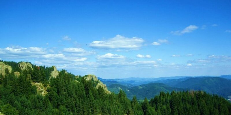 Mountain Landscape with Forest — Blue