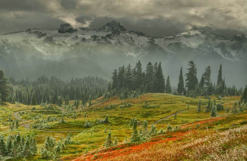 Mountain Landscape with Forest — Green, Dramatic