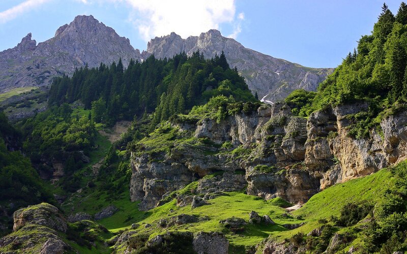 Mountain Landscape with Forest — Green, Serene, Afternoon