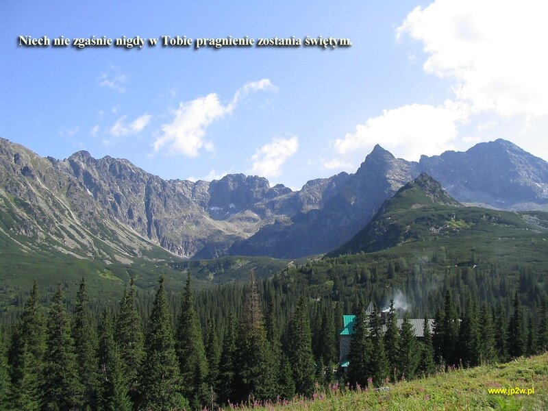 Mountain Landscape with Forest — Green, Serene