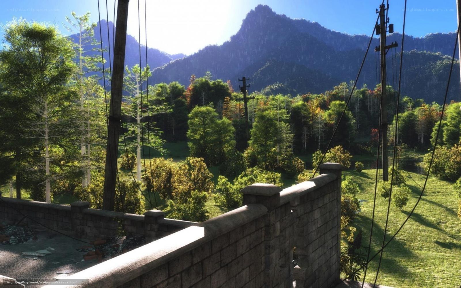 Mountain landscape with forest view