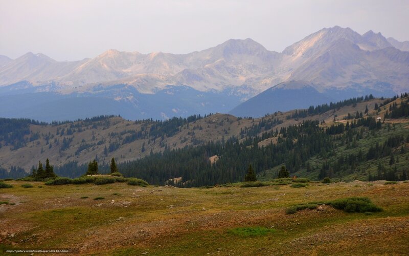 Mountain landscape with forested hills