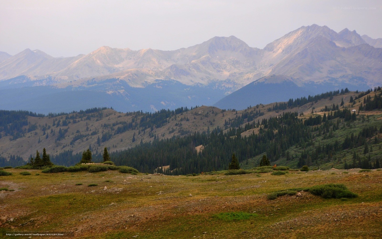 Mountain landscape with forested hills