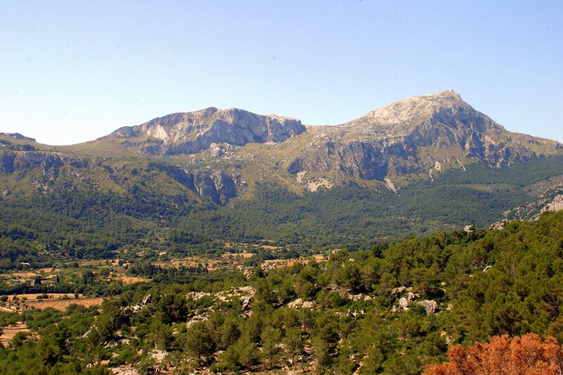 Mountain landscape with forested valley