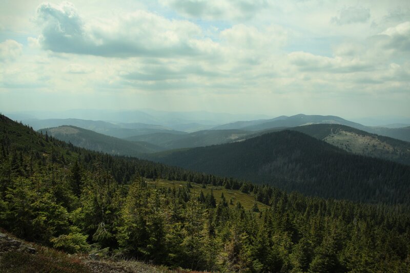 Mountain landscape with forests