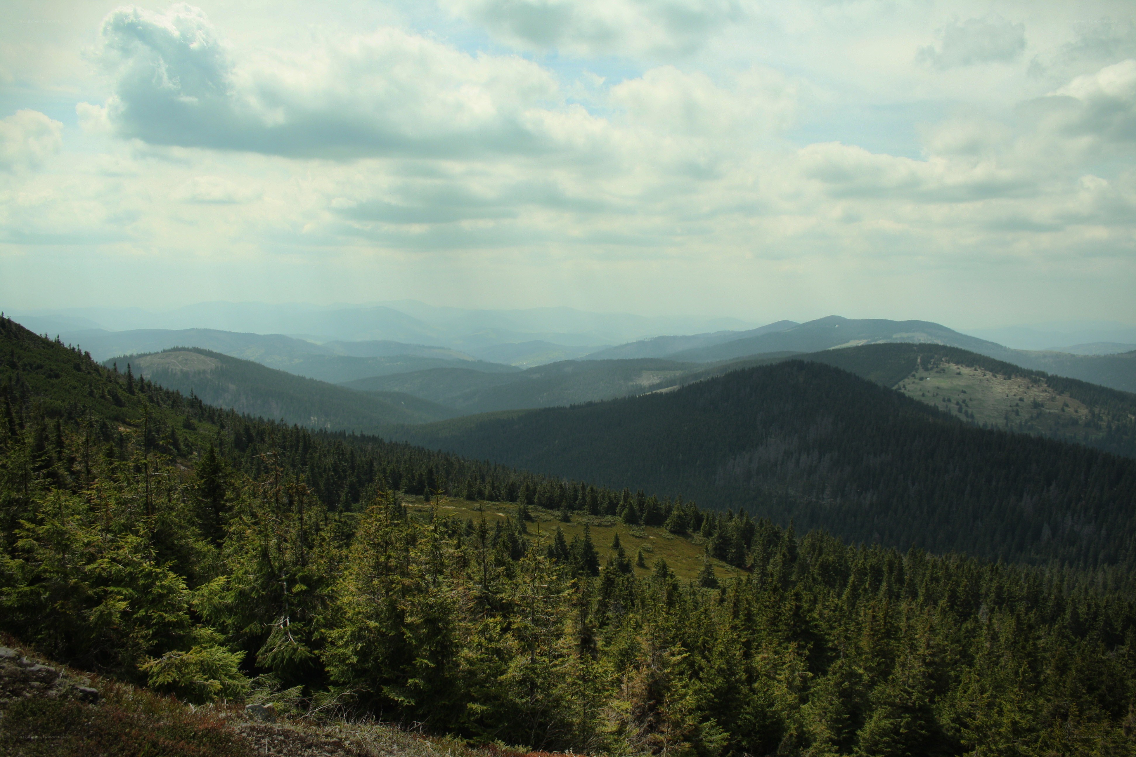 Mountain landscape with forests