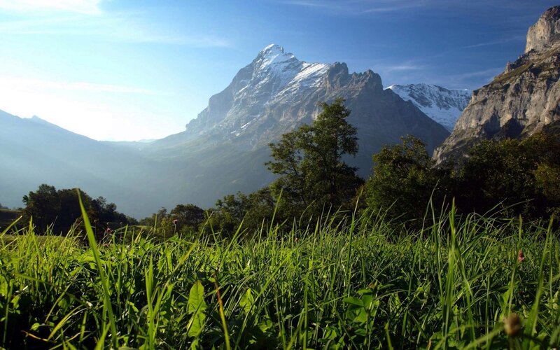 Mountain landscape with grass