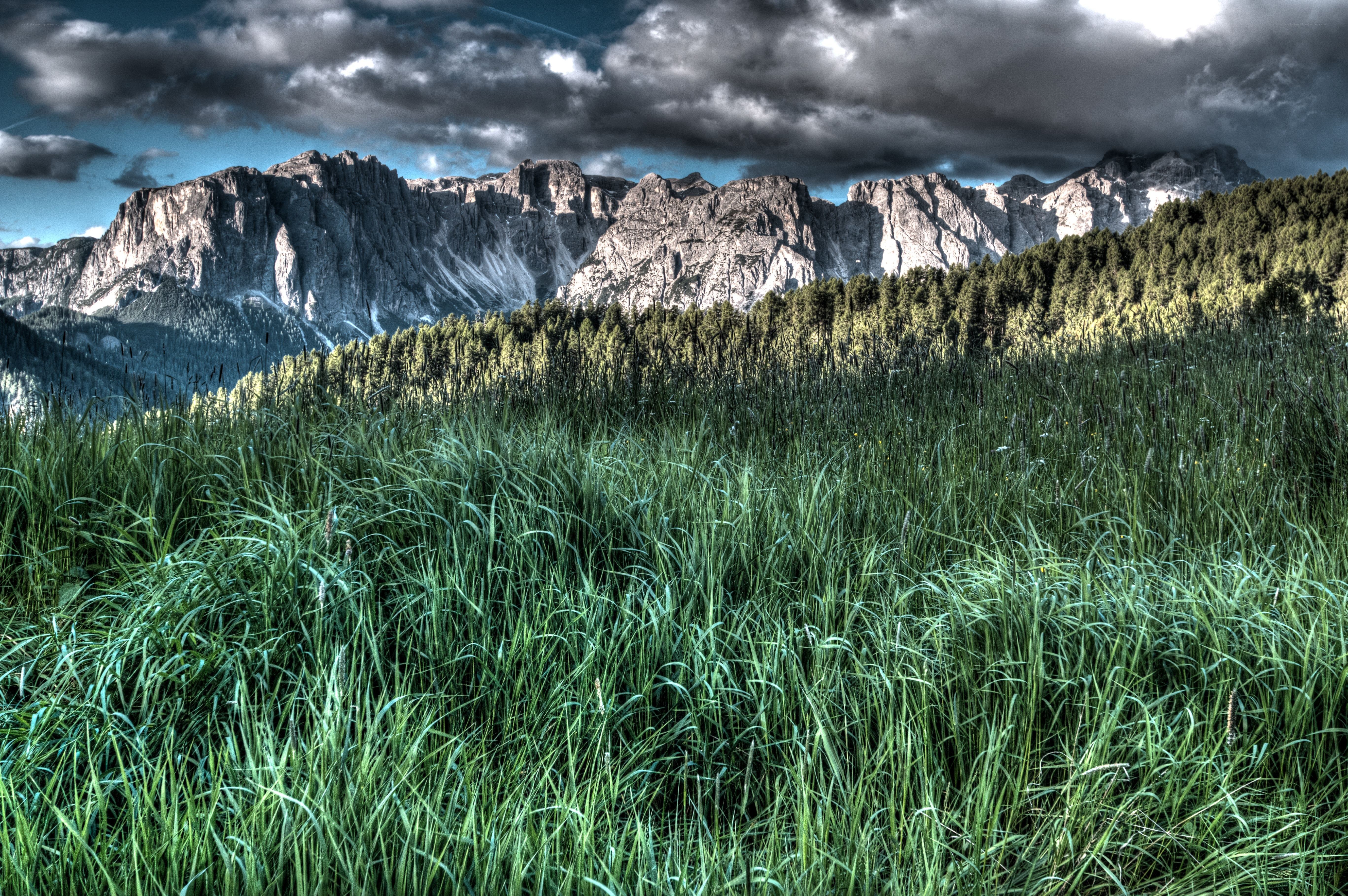 Mountain landscape with grassy field