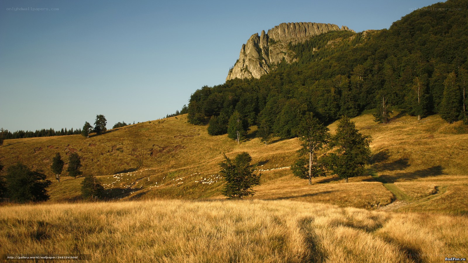 Mountain landscape with grazing sheep