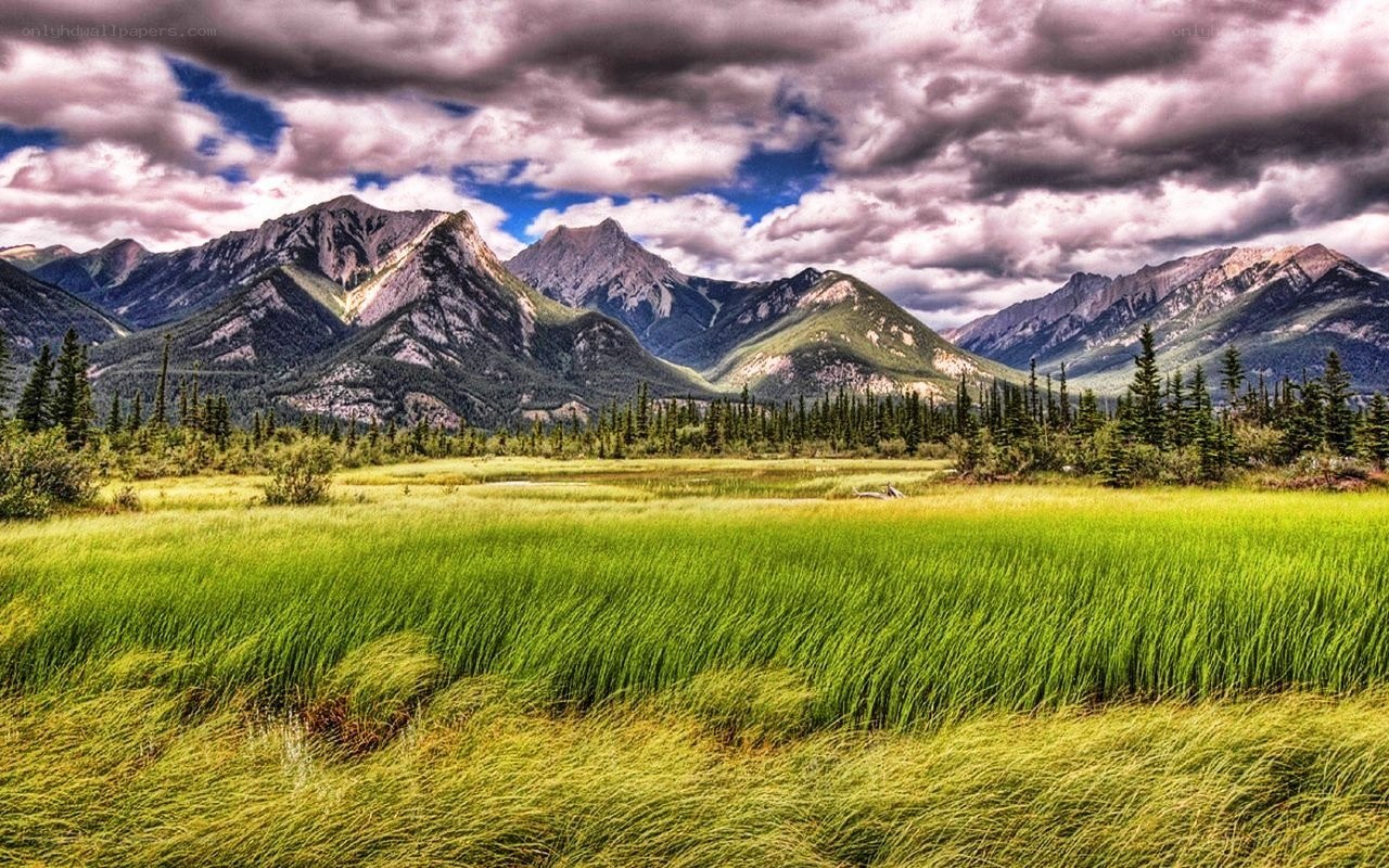 Mountain landscape with green field