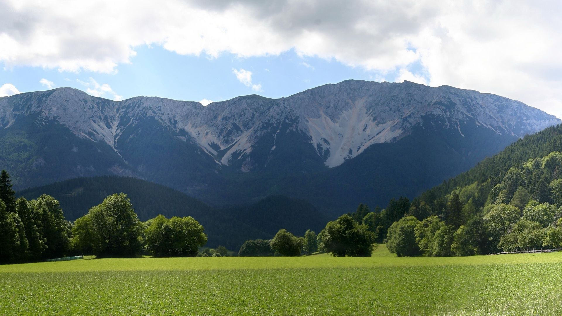Mountain landscape with green field