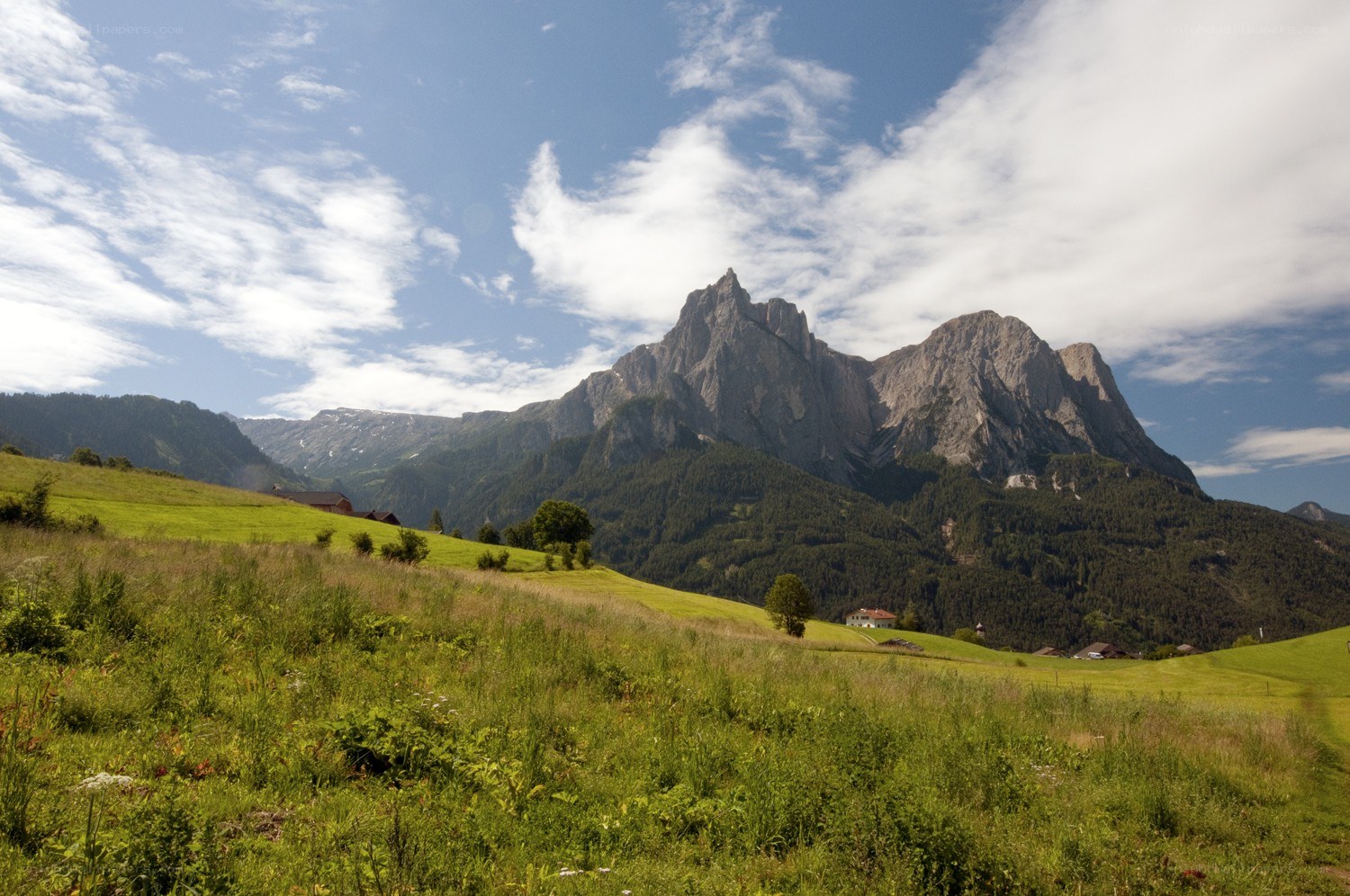 Mountain landscape with green fields