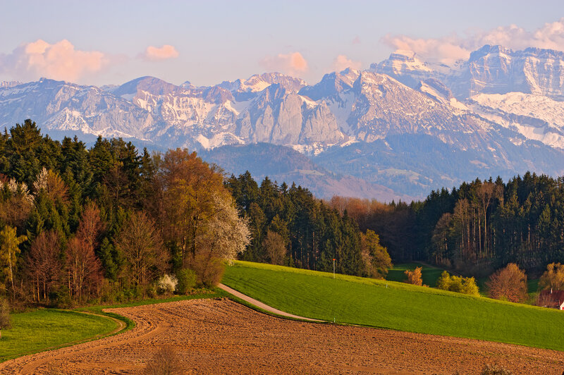 Mountain landscape with green fields