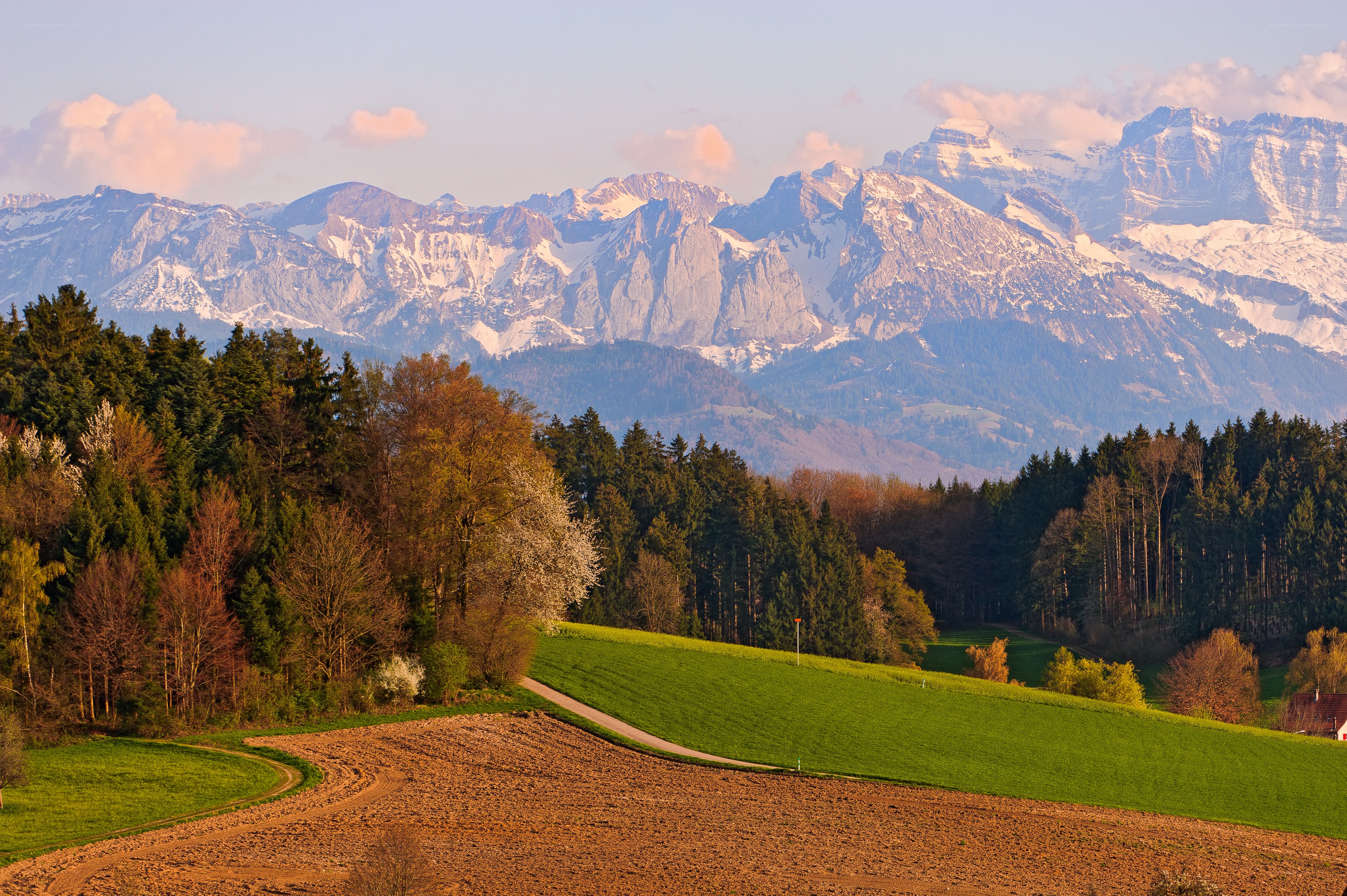 Mountain landscape with green fields