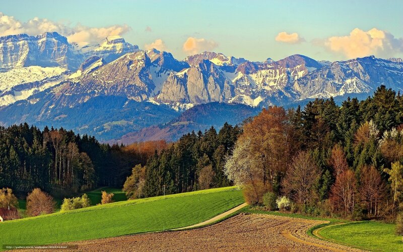 Mountain landscape with green fields