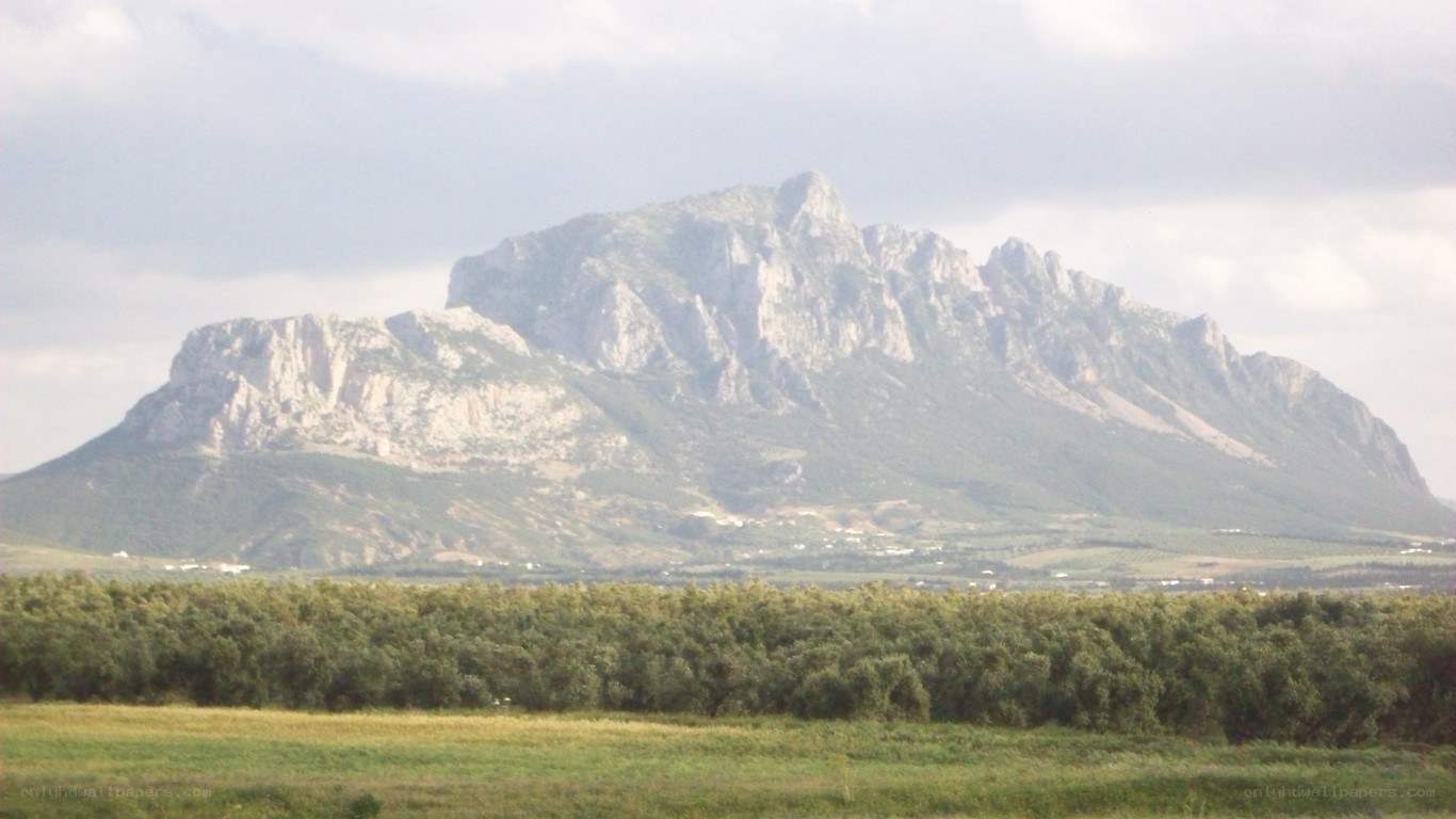 Mountain landscape with green fields