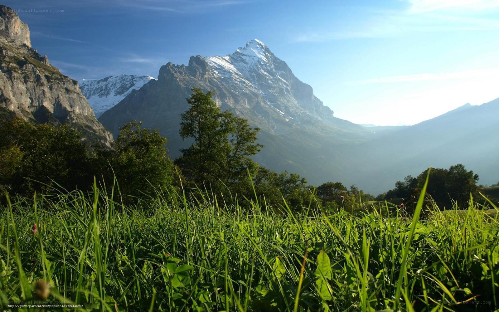 Mountain landscape with green grass