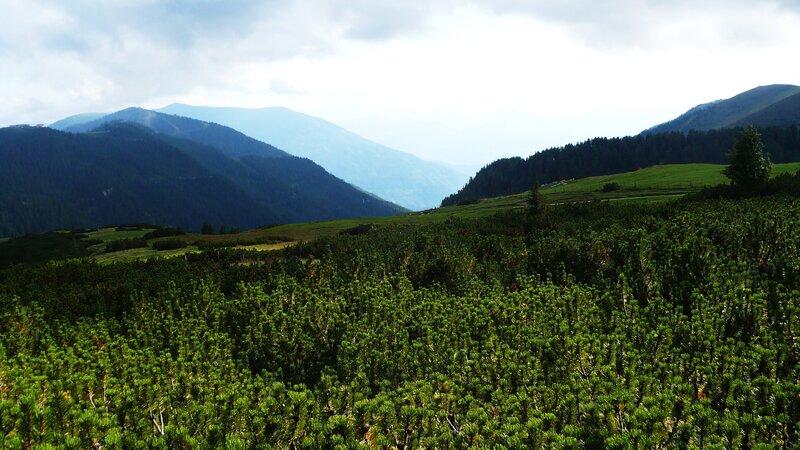 Mountain landscape with green shrubs