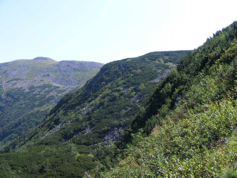 Mountain landscape with green slopes