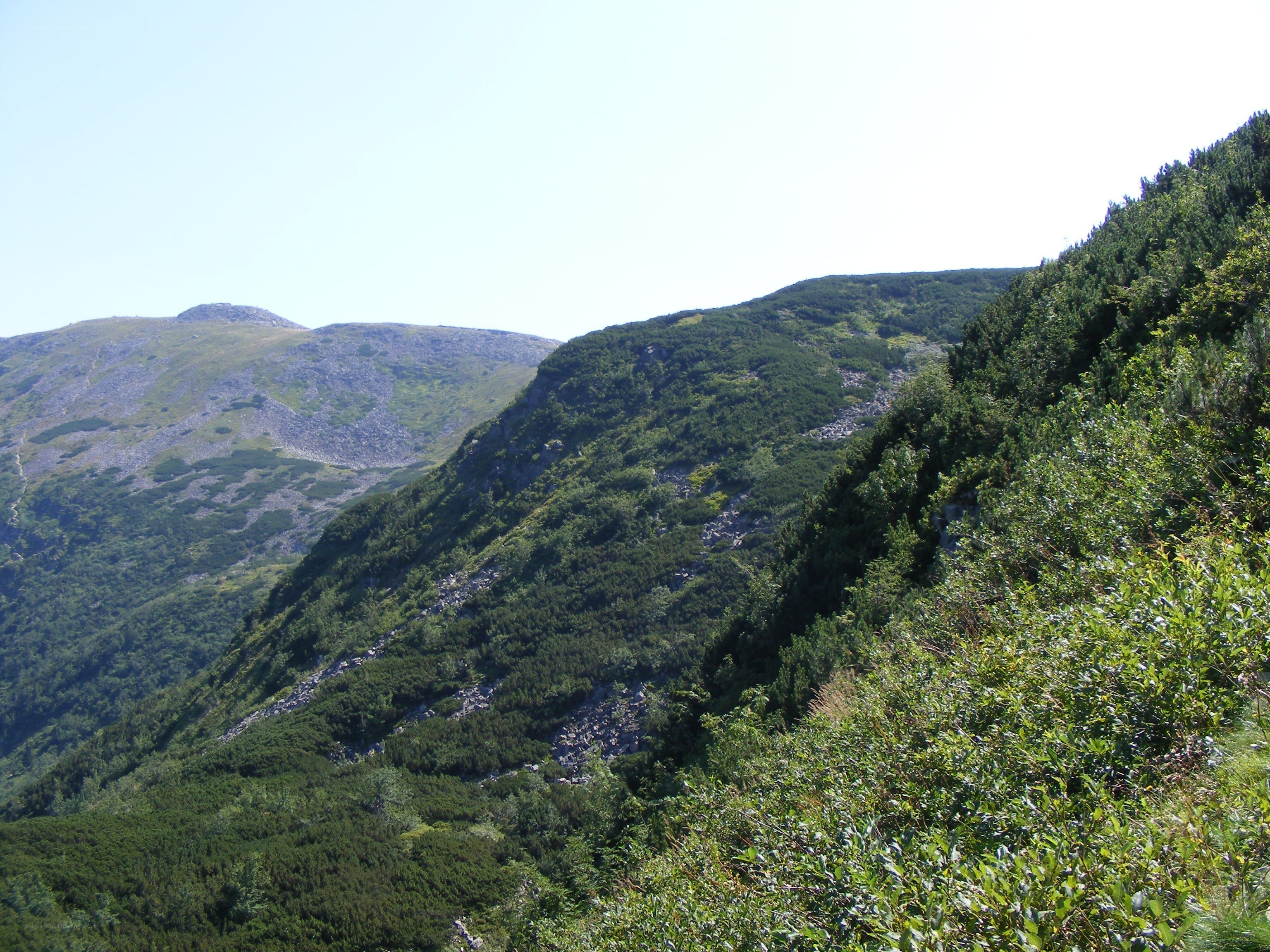 Mountain landscape with green slopes